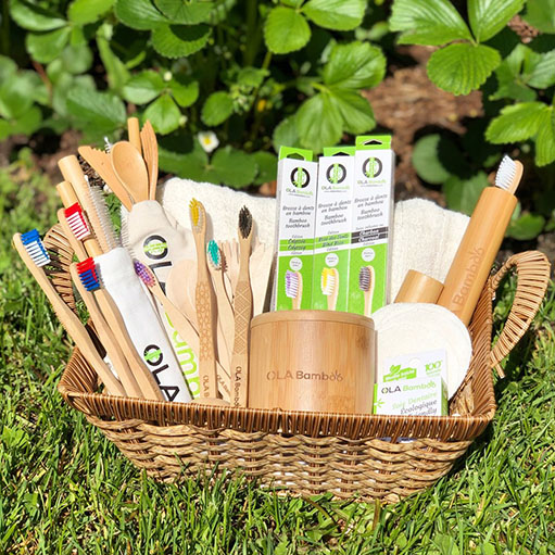 Ola Bamboo